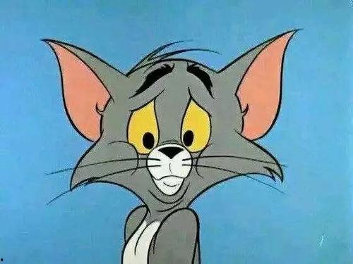 新猫新鼠爆料视频大全下载,揭秘幕后精彩瞬间  第1张