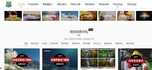 爆料新闻 视频素材库在哪,爆料新闻视频素材库的秘密藏身之地  第1张